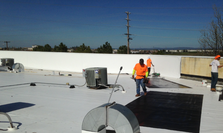 P.Wall & Field Welding