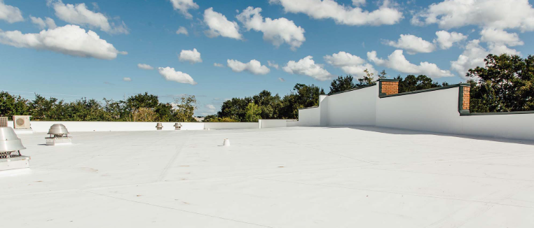 Field TPO Roof